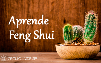 Aprende Feng Shui