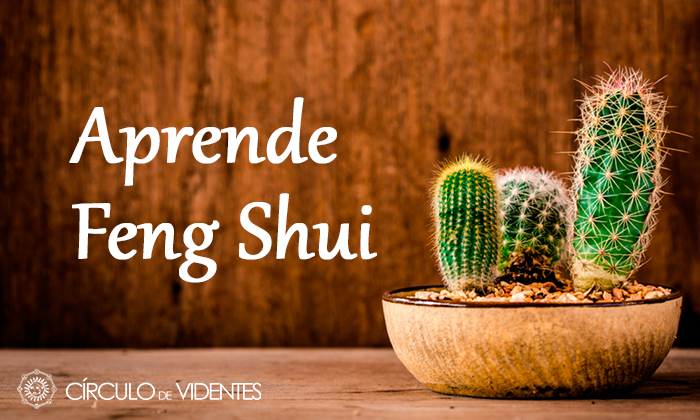 Aprende Feng Shui